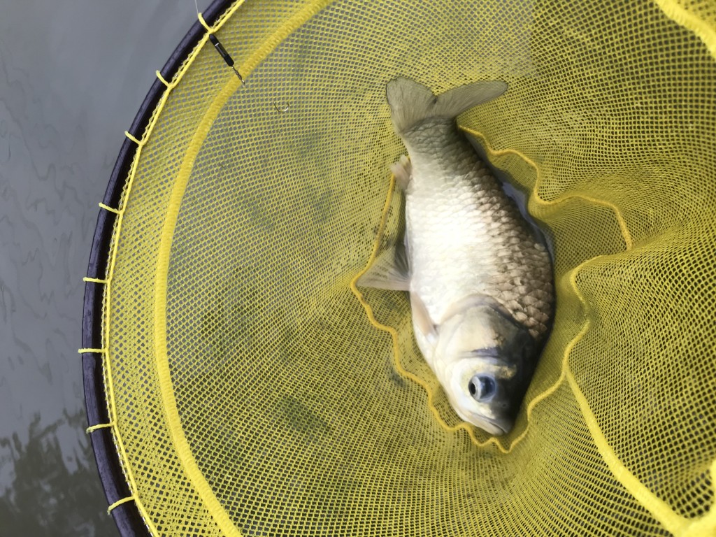 675100BF-4555-4312-AFB9-496044C0E984