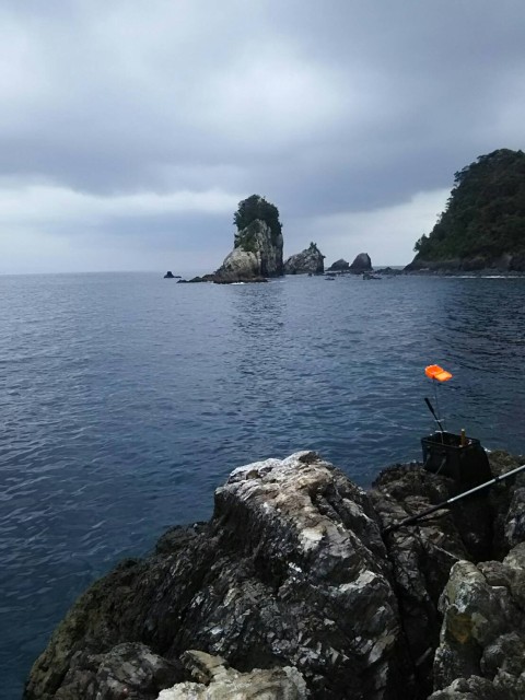 c4d56029-b1b5-423d-8635-7d5566f0bd27