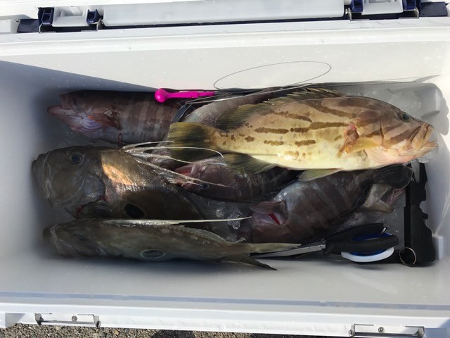 !cid_9EFD6A7B-B120-4DD2-ACE6-339446FDC763