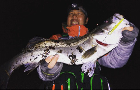 o0480030814088181542