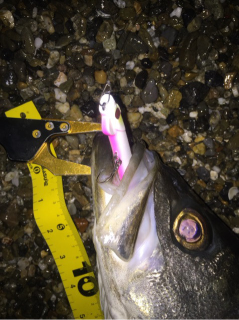 o0480064114090864961