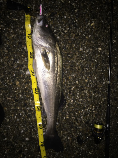 o0480064114090864965