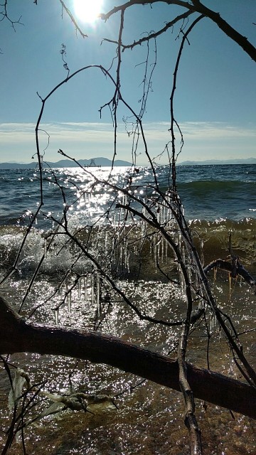 12ddd7d2-9da4-414d-957f-0b0e304f42f3