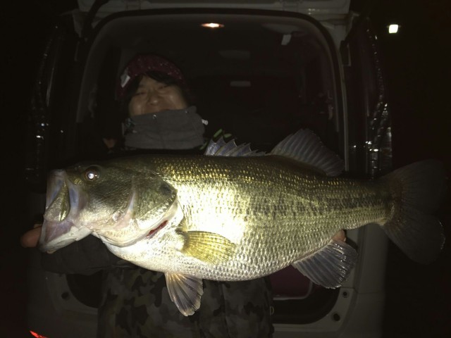 304a4e2c-3744-424c-8f69-090e179535c4