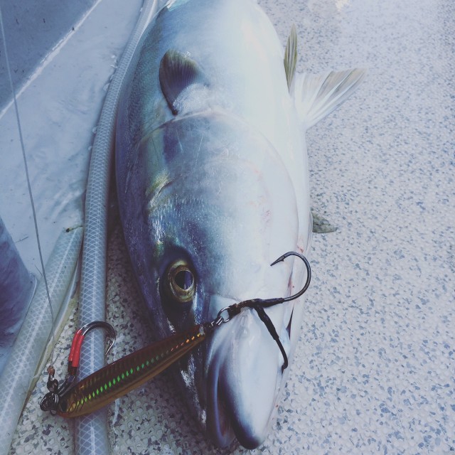 8f2df723-2c95-4941-8fa9-ebe425a53016