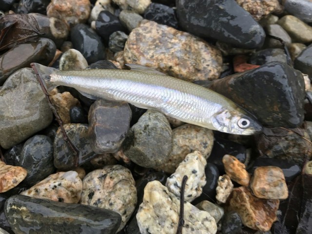 9b6ea9b4-e486-468e-9c30-13562843ec40