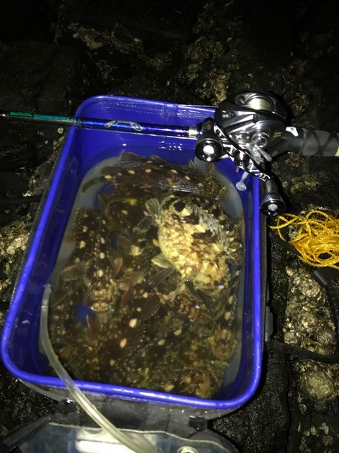 !cid_045E93BC-E3F2-45B4-AADA-76F8697FE7FB