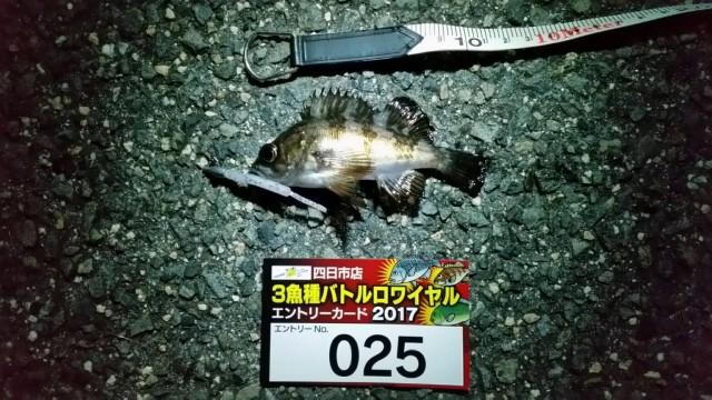 d753631b-c216-464b-9c8a-0517c59e019a