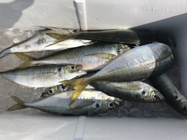 0818437F-40D0-45C0-9F37-1B4C15C0BC31