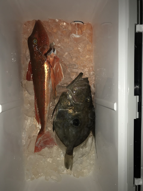 3997823A-E419-43BD-87A2-D97E256632C0