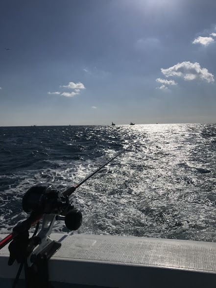 F9BCECBD-0B54-498B-9697-8D835929D72A