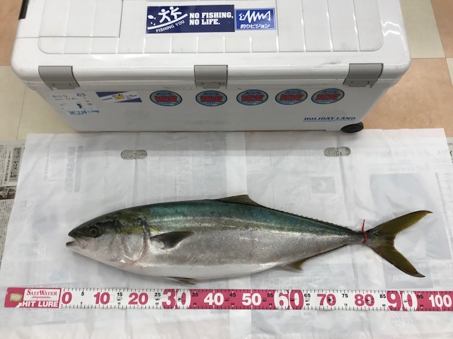 !cid_46BCC3FA-1CEF-4508-A5F3-0F22E7F53917