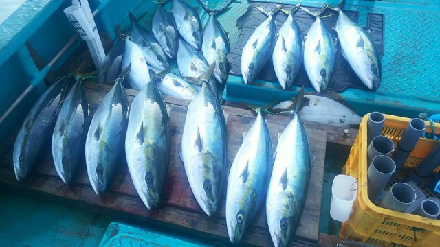 28377723_1243116299123740_8474297544425036937_n