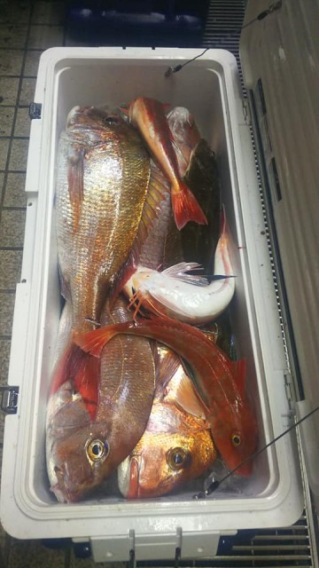 29425433_1260994697335900_8902096737649647471_n