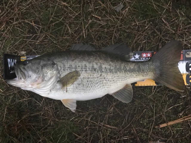 !cid_2CE618CE-E77A-4BAF-9F27-801A91DE9871