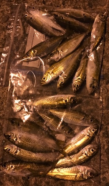 !cid_AD08855D-F7C5-4A3F-A82E-703BA5E26806