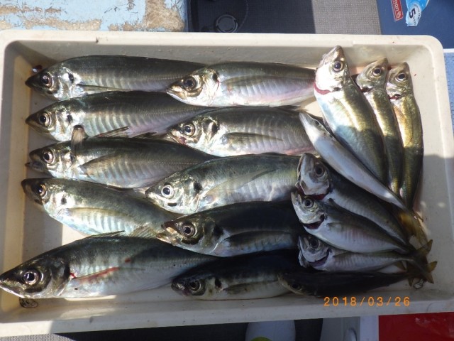 large-2dda3d4385e93ef534dbf426d7c388b4