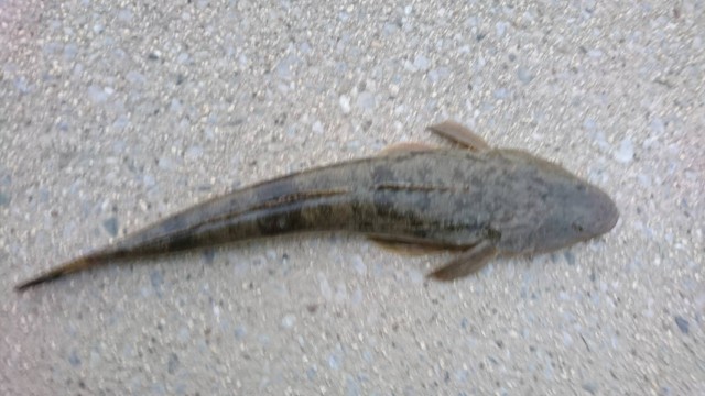 192f92b8-070e-4327-a400-c46dcdbedcc7