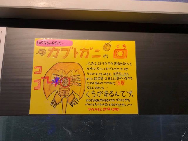 28059270_1621952874559050_3411823132364066481_n