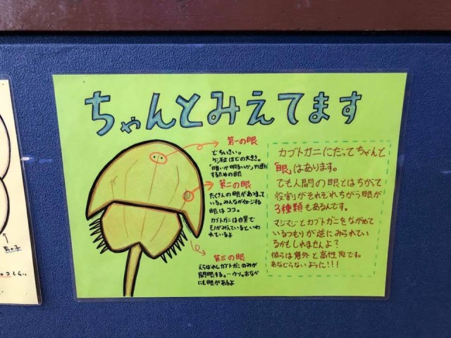 28167692_1621953001225704_6363022049093664984_n