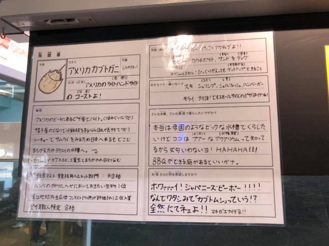 28276827_1621952891225715_849573103310320988_n