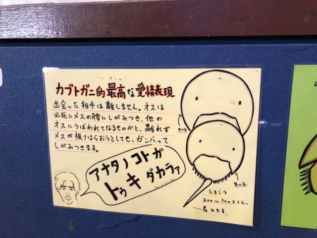 28279019_1621953011225703_2109452320989974323_n