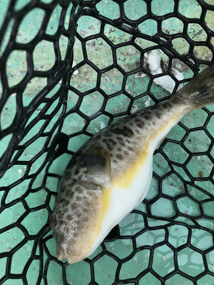 EADEF524-8352-476D-9D4C-FFBF316BAC14