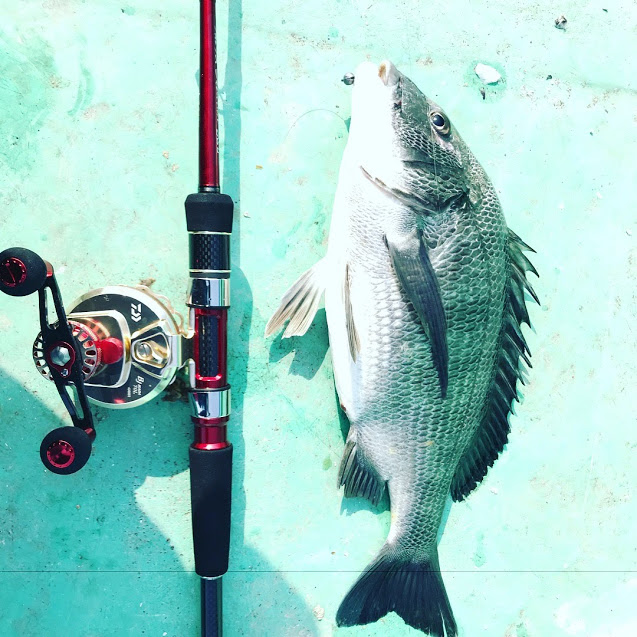 FB2B2565-5EB3-4A2A-8DCA-7D71AF90628D