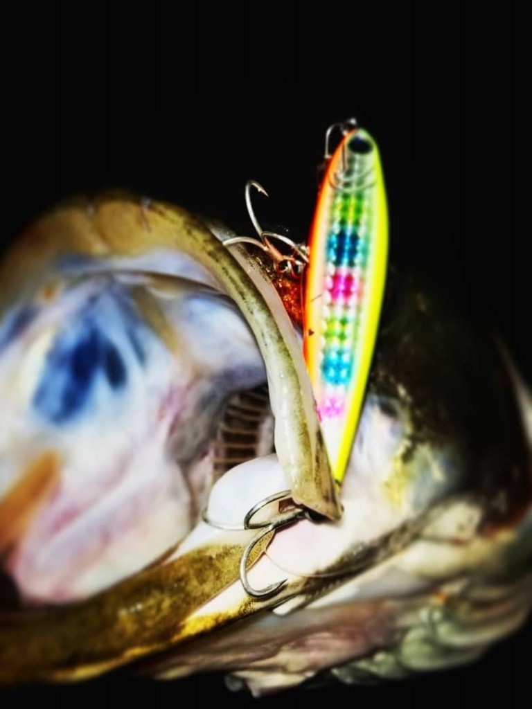 IMG_20180427_060951_347