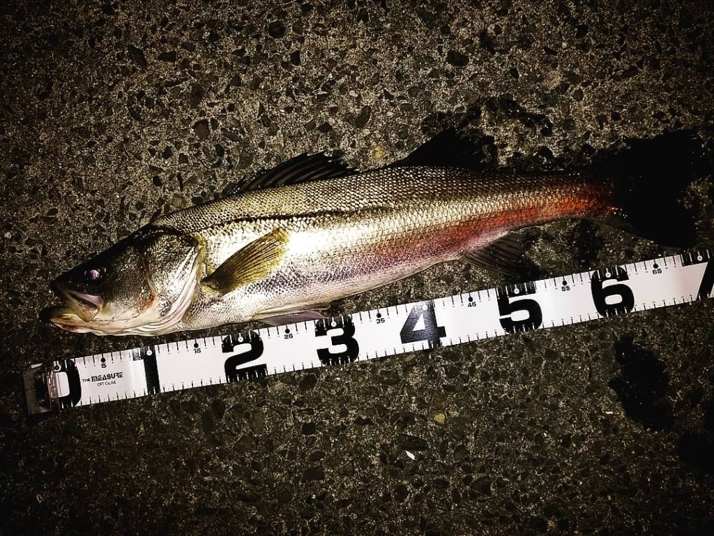 IMG_20180427_060951_348