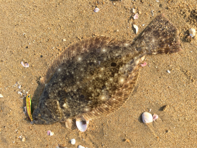 o1080081014176397865