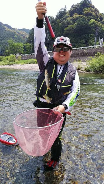 大内山川良型鮎釣れてます！！