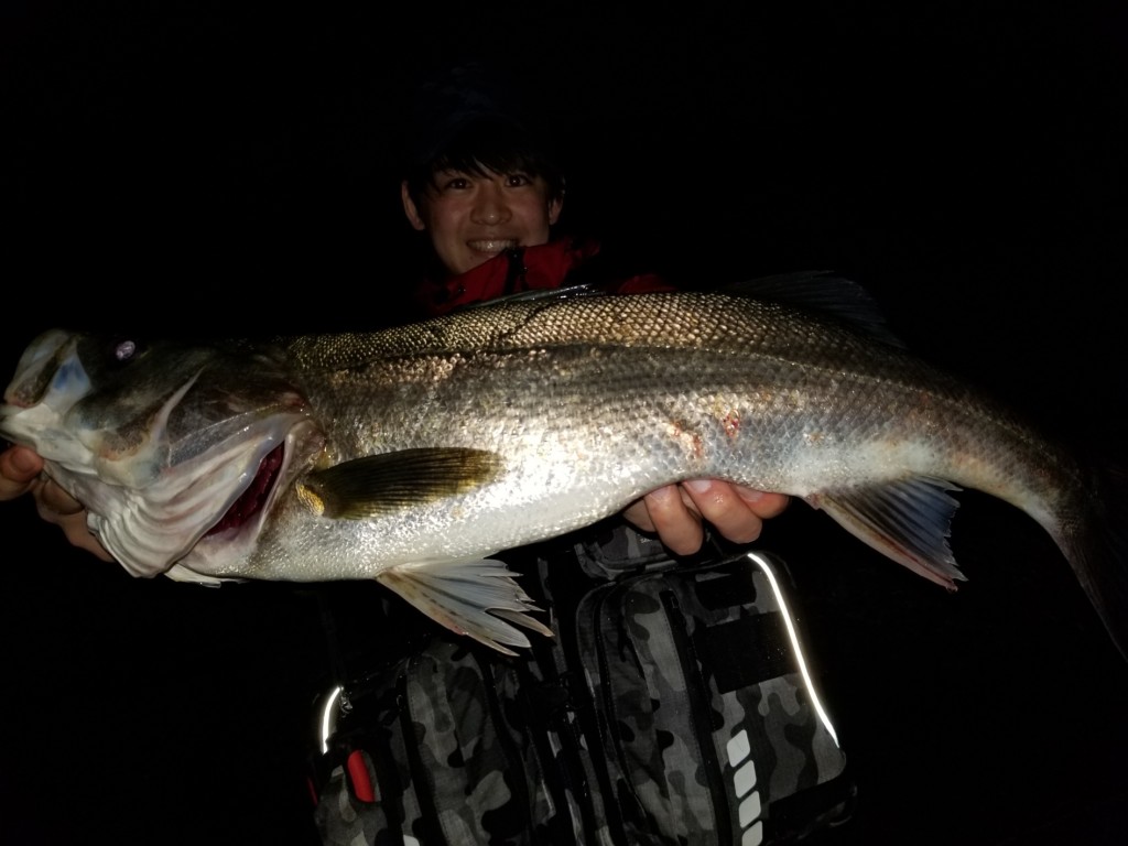 バチパターン好調！！