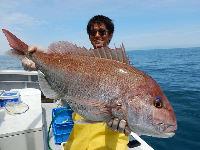 33032536_1722753557816948_2428635299572613120_n