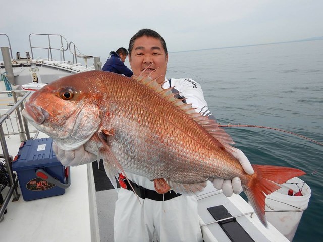 33181657_1722753601150277_2641861858675392512_n