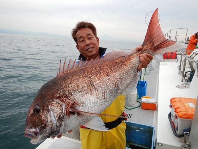 33207191_1722753641150273_4365437603269312512_n