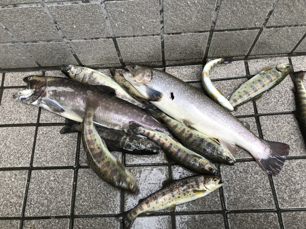 9FC1CA2E-CF80-47E9-AB87-B34005416C45