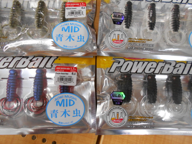 青木虫ミッドでこの夏を遊ぼう