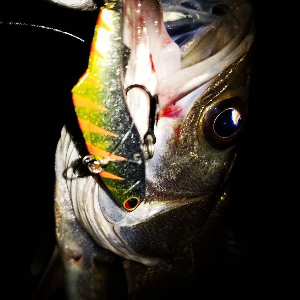 IMG_20180512_044516_908