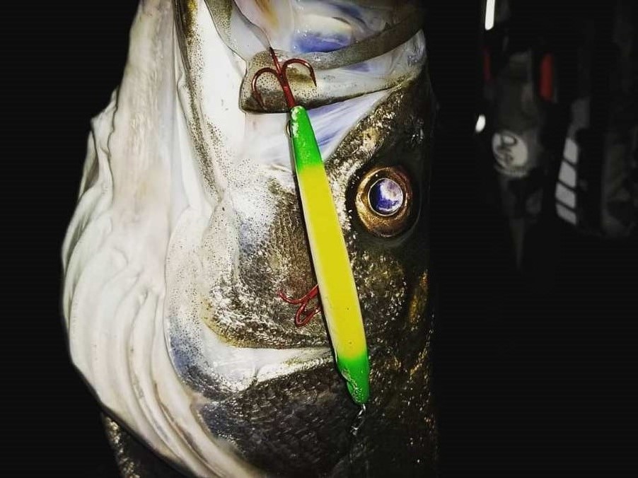 IMG_20180517_044209_730