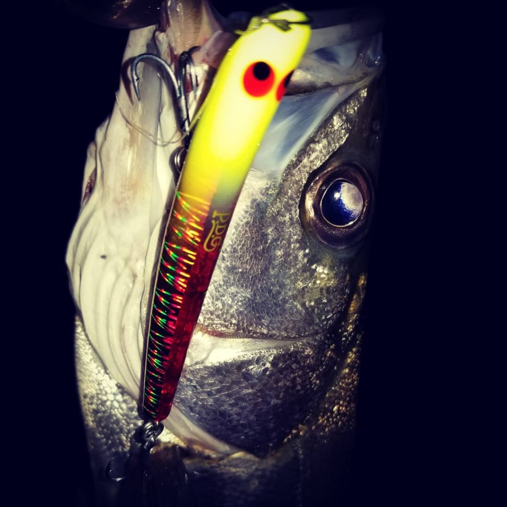 IMG_20180522_041102_284