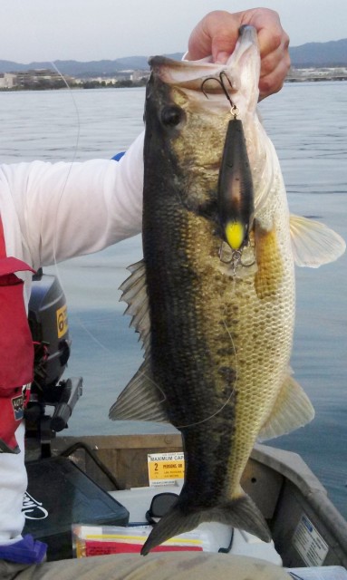 IMG_20180525_183221 - コピー