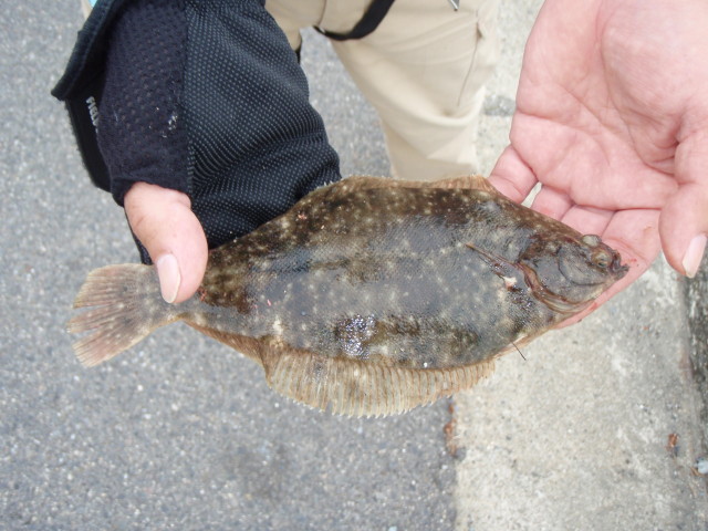 最近の鋼管、盛り上がってます！
