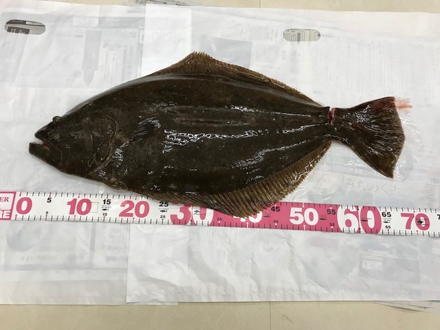 !cid_1AC61D18-2AFD-4EFB-A07A-EF9D44F3C349