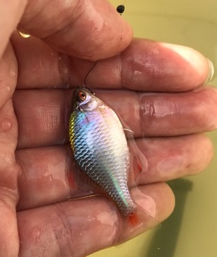 !cid_847B3C40-DE55-470E-A8E0-D1C398DDBDF2