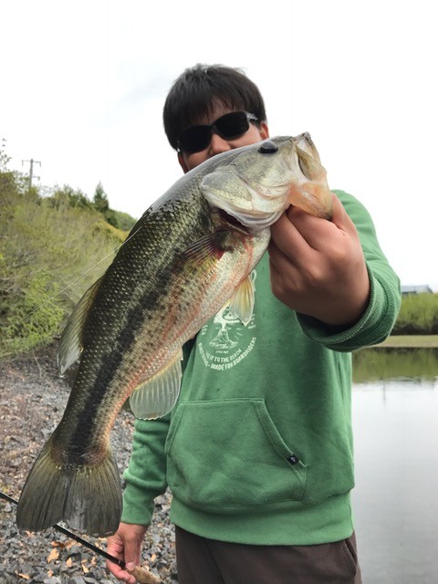 !cid_C0BB6D18-92E9-4FAC-B94B-125739DDDED9