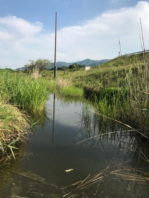 !cid_F73FB884-4CA2-46A2-A0A0-ED17F7ECB658