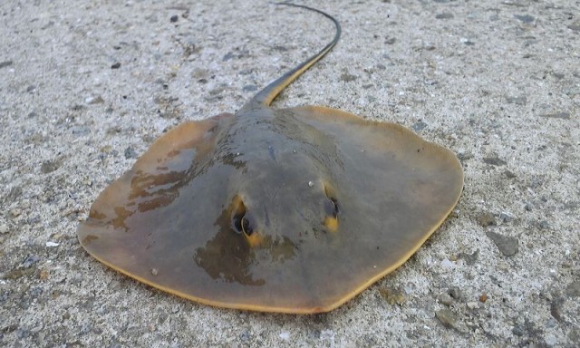 img_78076_7305097_14