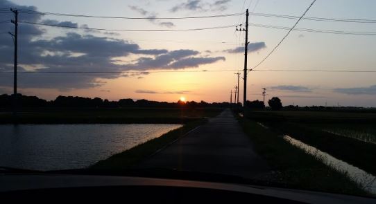 ２日連続でデイナマズ行ってきましたよ♪