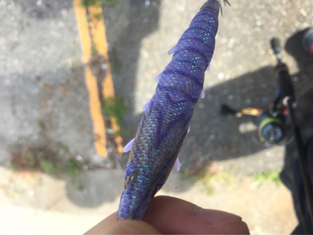 o1080081014185942195